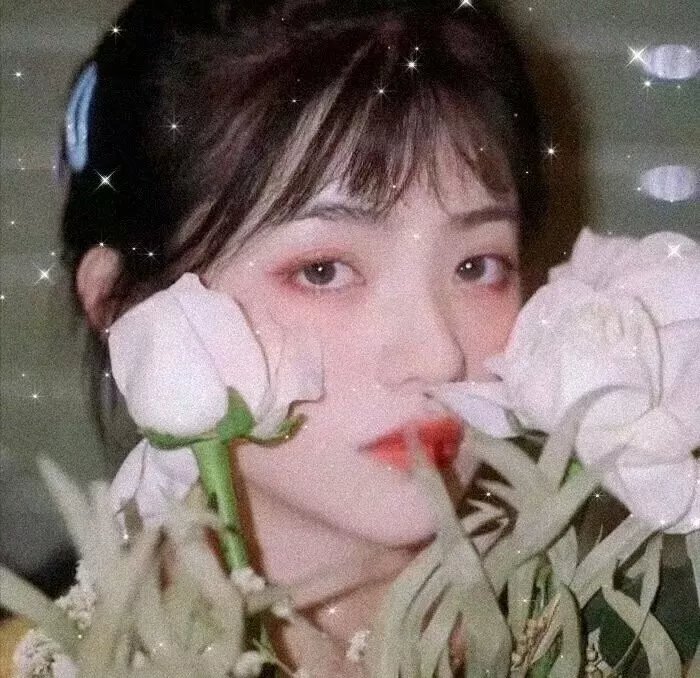 爱尔兰的弗兰克