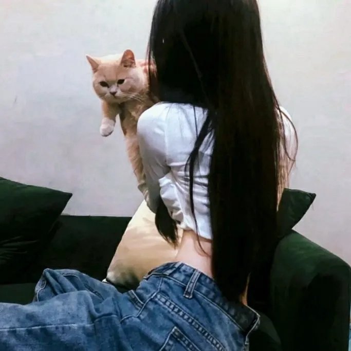 追蝶